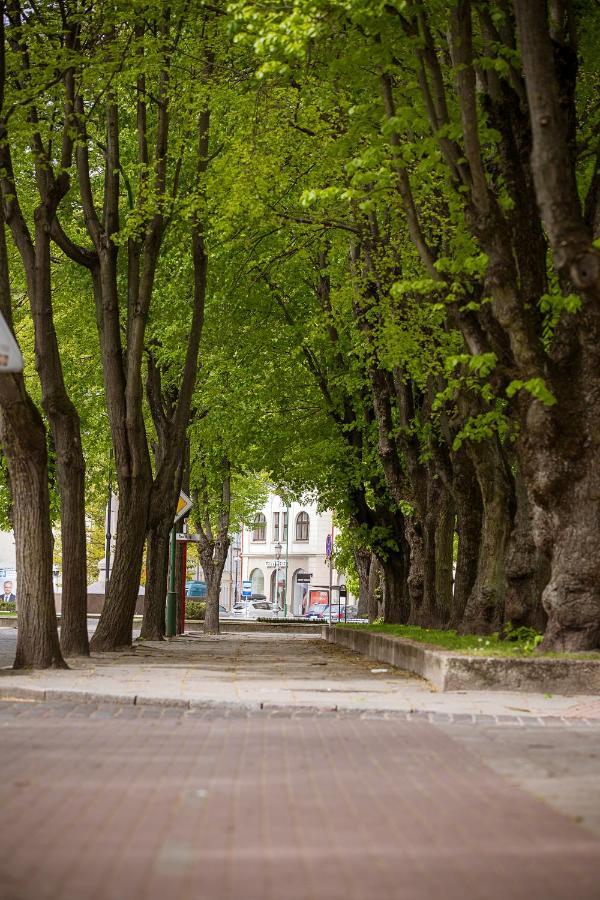 Dvieju Kambariu Butas Klaipedos Centre Lägenhet Klaipėda Exteriör bild